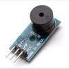 DC 3.3-5V 10mm Active Buzzer Module