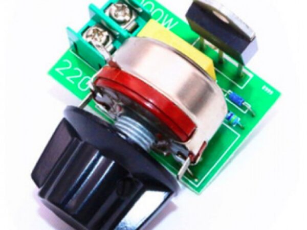 2000W Thyristor SCR Voltage Regulator Temperature Dimmer for Speed Light (AC 220V)