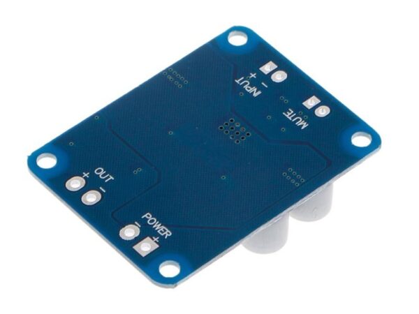 TPA3118 PBTL Mono Digital Amplifier Board